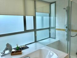 The Light @ Cairnhill (D9), Condominium #352364781